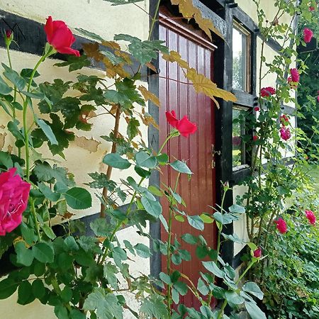 Bnb Het Geluk Van Limburg Mechelen Kültér fotó