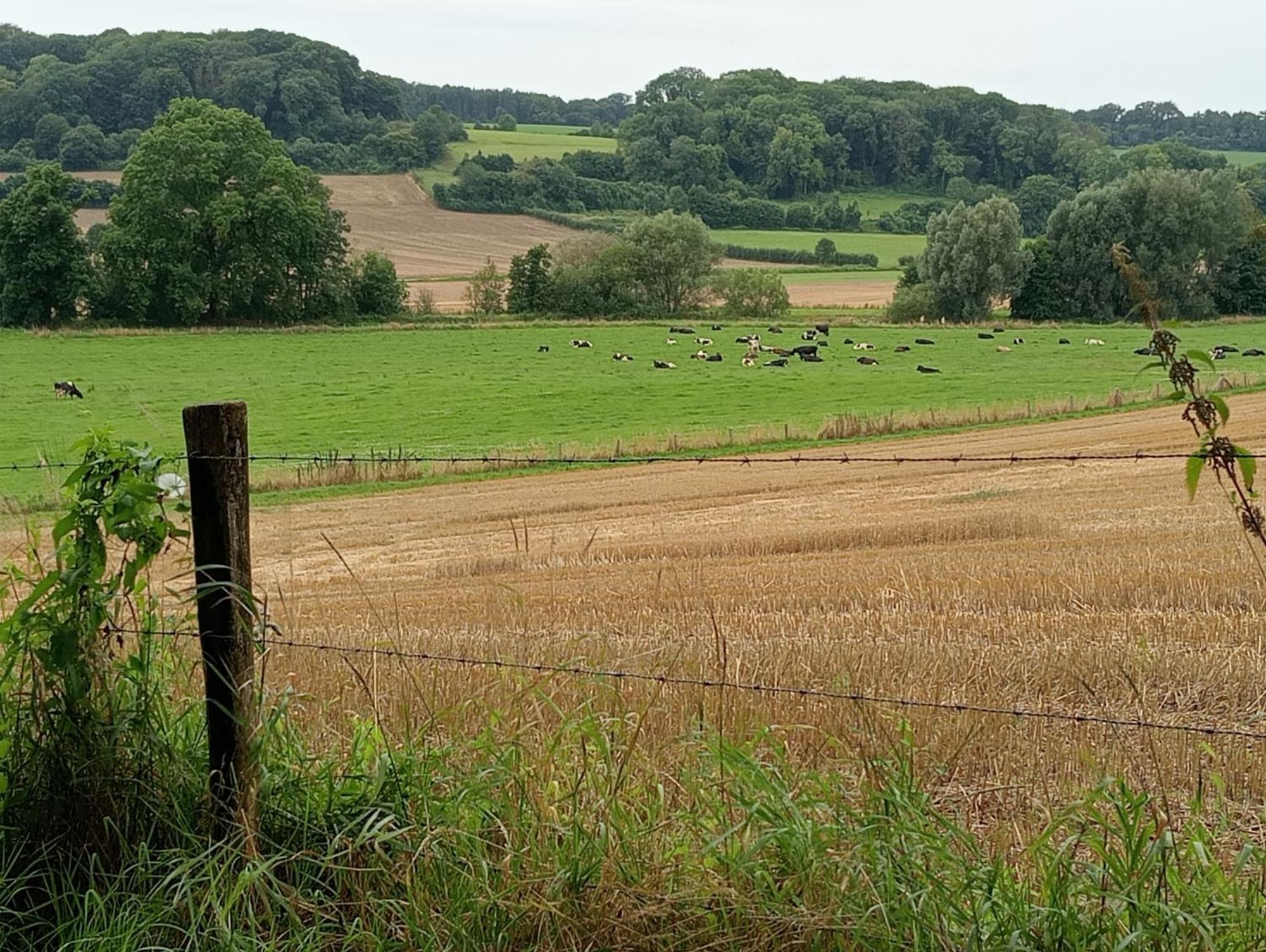 Bnb Het Geluk Van Limburg Mechelen Kültér fotó