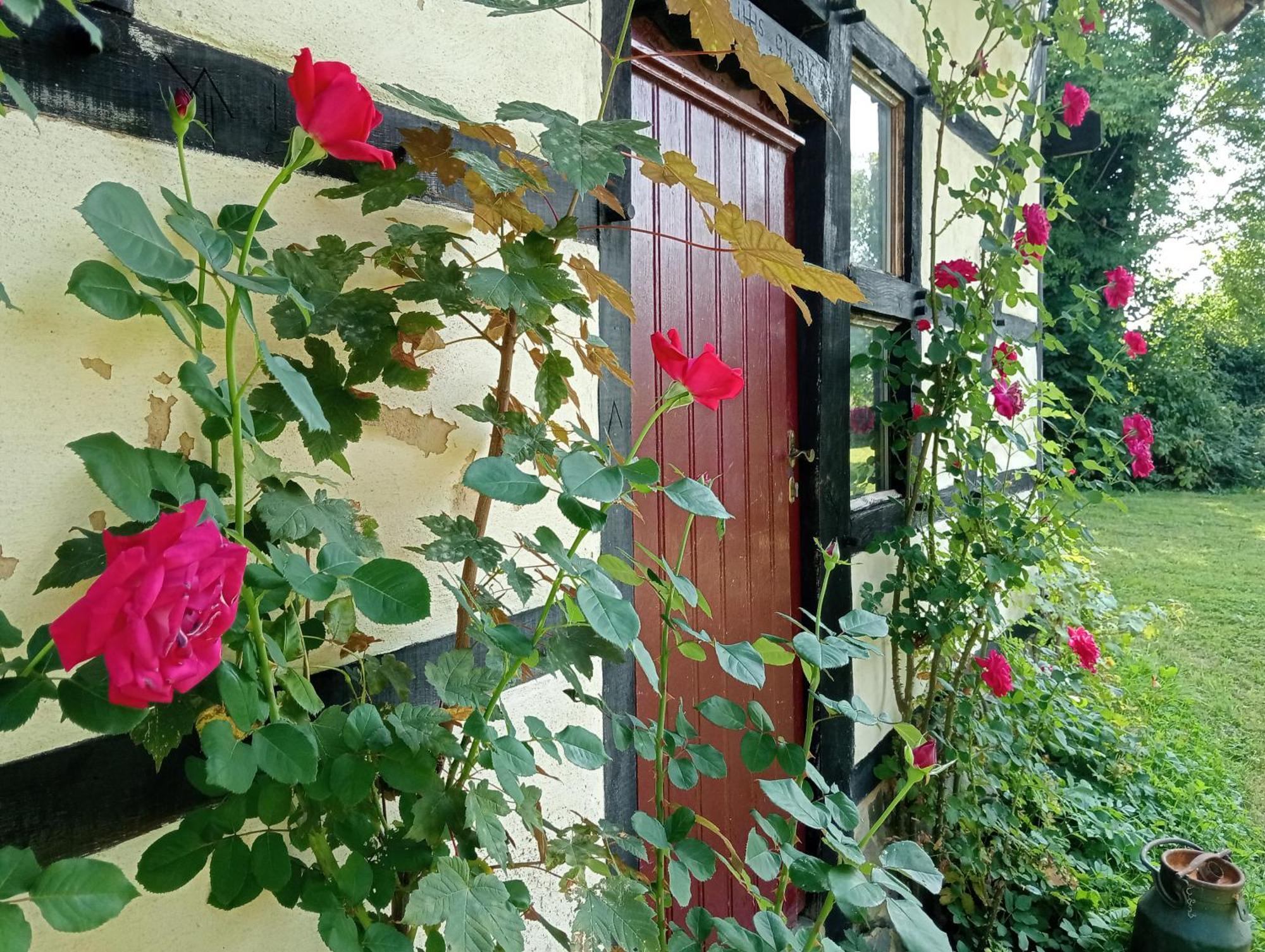 Bnb Het Geluk Van Limburg Mechelen Kültér fotó